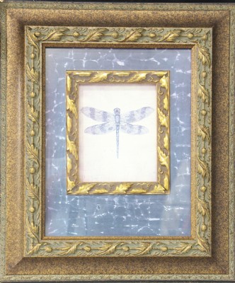 Brown Spotted Dragonfly Framed Art Print